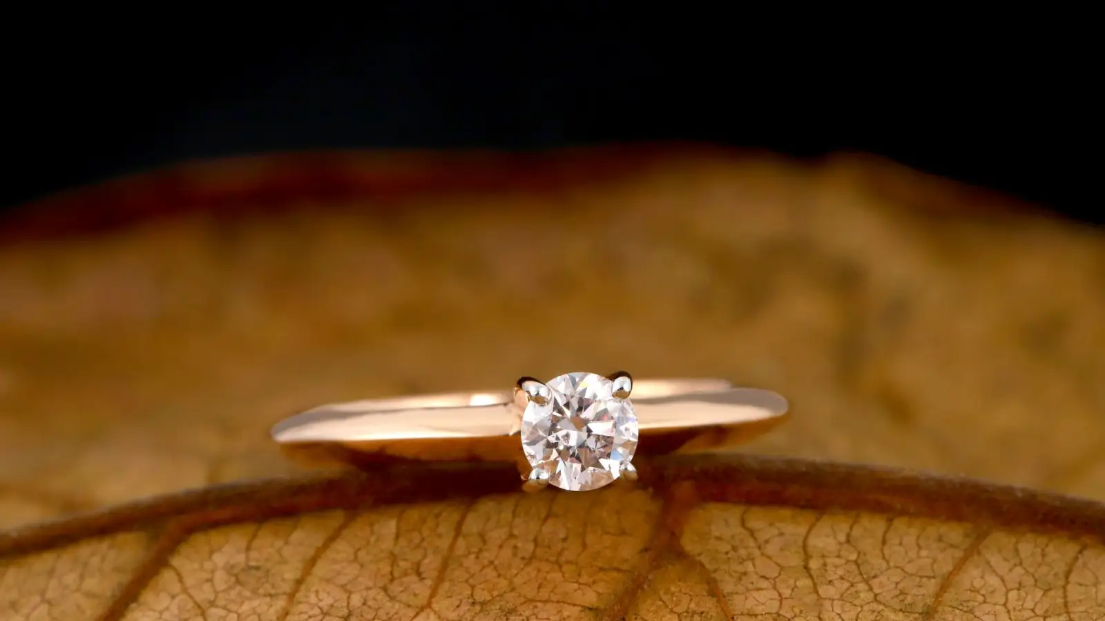 Solitaire engagement ring with a single round diamond, the shape this price guide covers