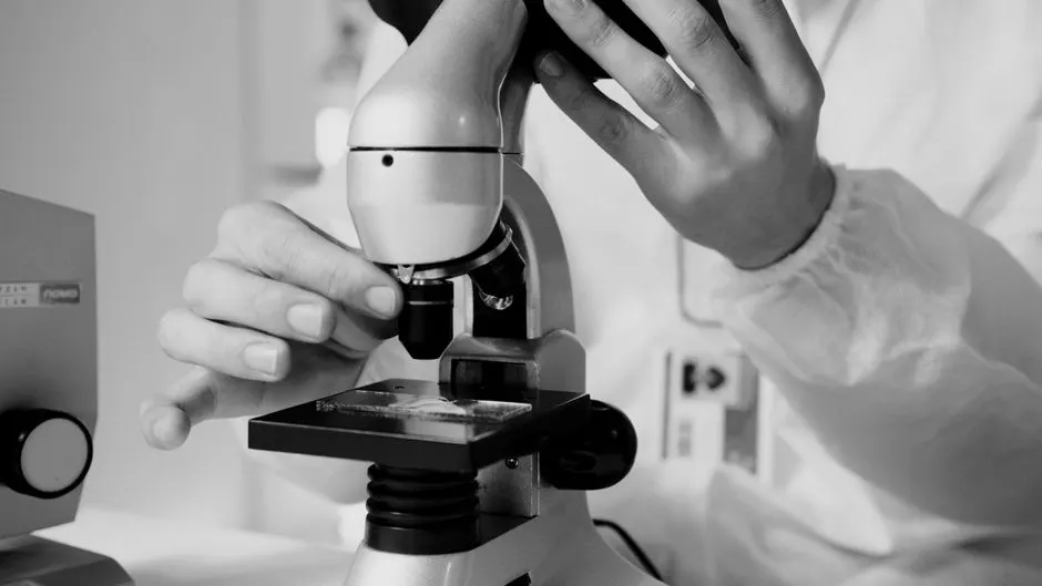 Laboratory microscope of the kind used to grade a stone before a report is written